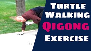 Turtle Walking Qigong Exercise Movement in Beijing China