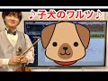 ショパン 子犬のワルツをヴァイオリンで演奏してみた Chopin Minute Waltz Violin Cover