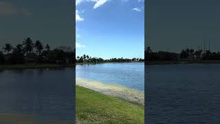 Mackle park Marco Island