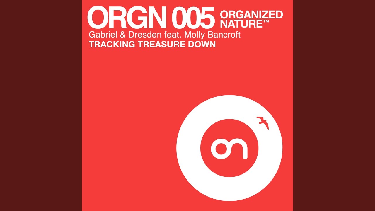 Tracking Treasure Down (Robbie Rivera Dub)