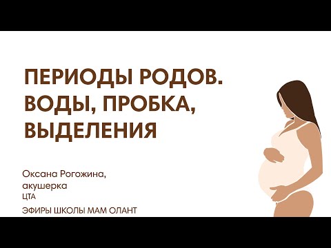 ПЕРИОДЫ РОДОВ. ВОДЫ, ПРОБКА, ВЫДЕЛЕНИЯ