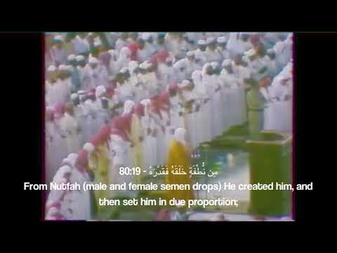 Surah Abasa He Frowned Ali Jaber علي جابر With English Translation