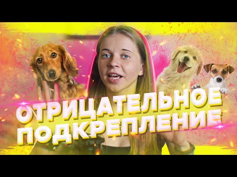 ЧТО ТАКОЕ ОТРИЦАТЕЛЬНОЕ ПОДКРЕПЛЕНИЕ? как его использовать?