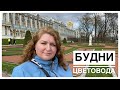 Будни цветовода | Пушкин | В Леруа Мерлен за совочками | 08.05.2022г.