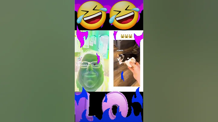 Watch the video about What kind of hairless kitten is that🤣🤣🤣🤣