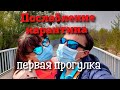 Первое послабление карантина - первая прогулка