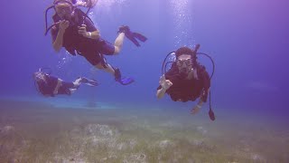 Cozumel Scuba Diving Trip 2018