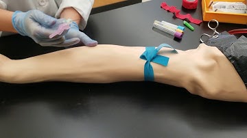 Phlebotomy: Venipuncture Procedure