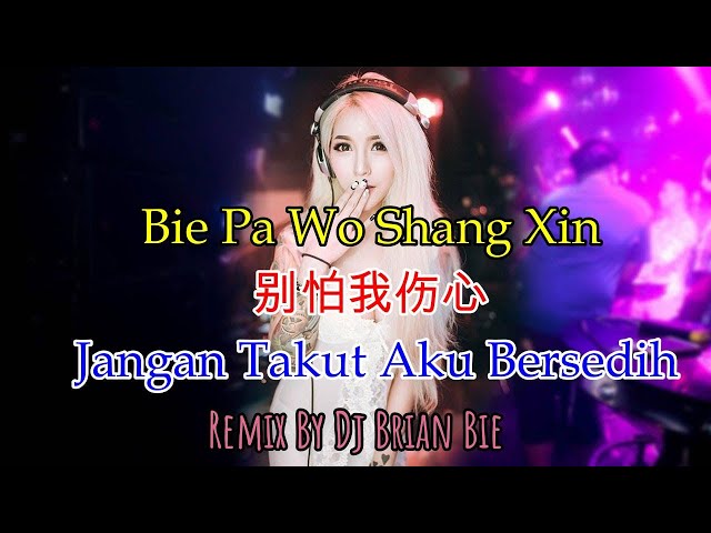 Bie Pa Wo Shang Xin - 别怕我伤心 - Jangan Takut Aku Bersedih(Electro Manyao) By Dj Brian Bie#dj抖音版2023 class=