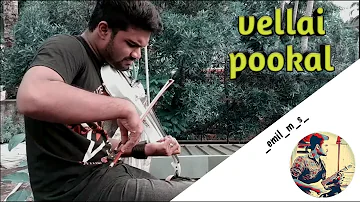 Vellai pookal | A R Rahman | Emil M S | Violin Cover | Instrumental | Kannathil Muthamittal