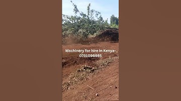 Uprooting a tree with its roots