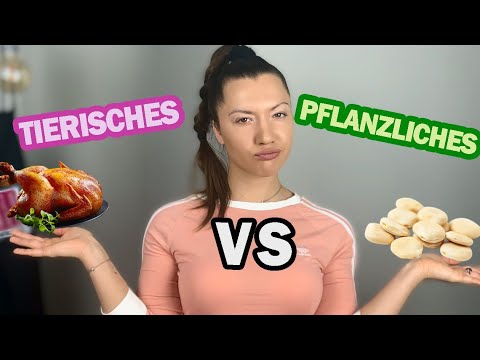 Tierisches vs Pflanzliches Eiweiss - UNTERSCHIED?