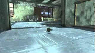 Stupid Rolling Frag Grenade  - Call of Duty Black Ops