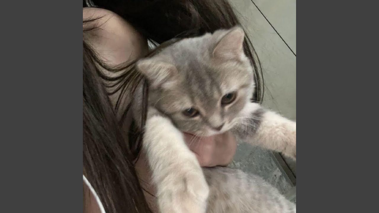 or sumn (feat. jaydes)