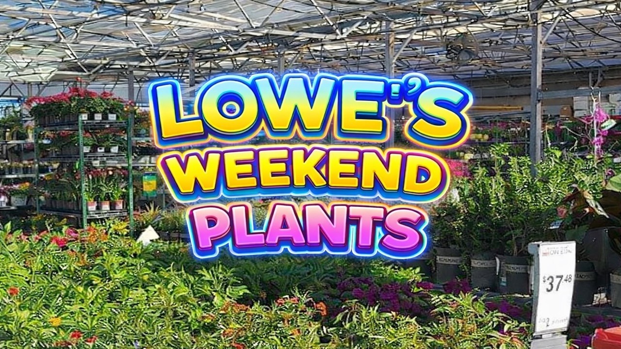 Lowe’s Weekend Plant Drop 🌸 Garden Center Walkthrough
