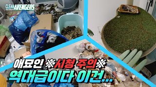 (SUB) 쓰레기집 가서 똥만 치우다 왔습니다 | 클린어벤져스