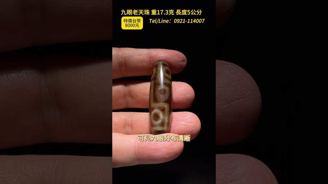 送料無料】台湾 チベット ジービーズ 九眼老天珠 老天珠 天珠 九眼天珠