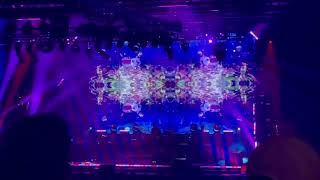 Download Lagu Primus - The Ol Diamondback Sturgeon MP3