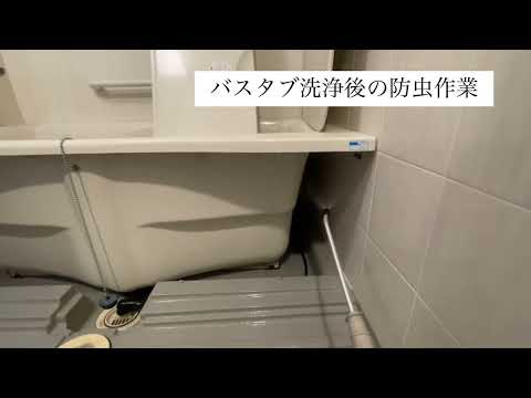 【この機会に害虫対策無料!!】害虫駆除と清掃のプロが手掛ける水回りクリーニング！