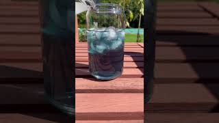 Erfly Pea Lemonade Mock-Tail