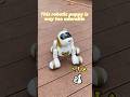 I found a cute puppy, but…it’s a bit of batter hog🔋 #robot #unboxing #ruko #robotdance #fyp