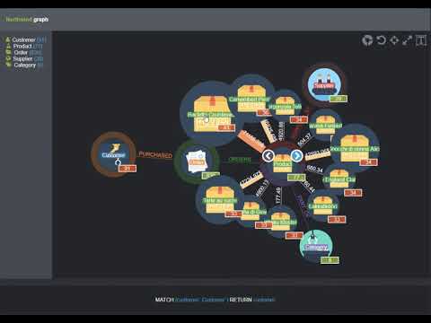 Popoto.js on northwind dataset