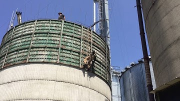 Releasing Jump Forms