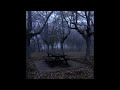 [FREE] XXXTENTACION acoustic guitar type beat -"cold food"