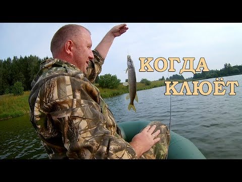 Video: Lake Lovozero, cheeb tsam Murmansk: yees duab, piav qhia