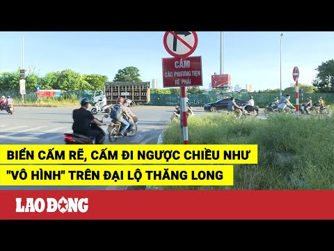 Video Biển cấm rẽ, cấm đi ngược chiều như 