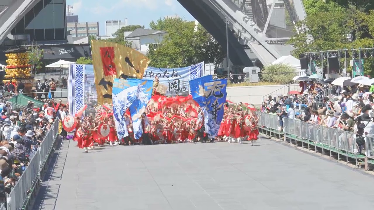 どまつり2025　8月31日　美勝女隊