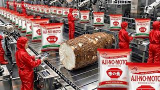 Inside the Giant Ajinomoto Factory: The Technology for Producing MSG from Cassava (Full Process)