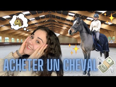 Vidéo: Que faire lorsque vous achetez un cheval