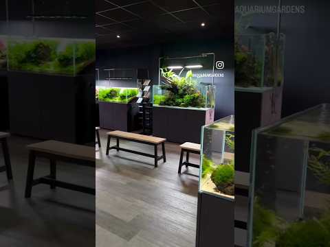 * * SHOP TOUR * * Watch the whole video to walk round the store and see all our displays at the end!