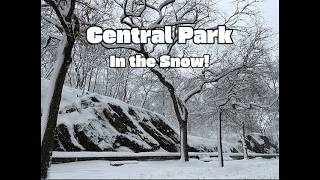 Celebrity BIG SNOW STORM || New York Upper West Side Snow || Central Park Walking Tour || 2/23/26 Wealth