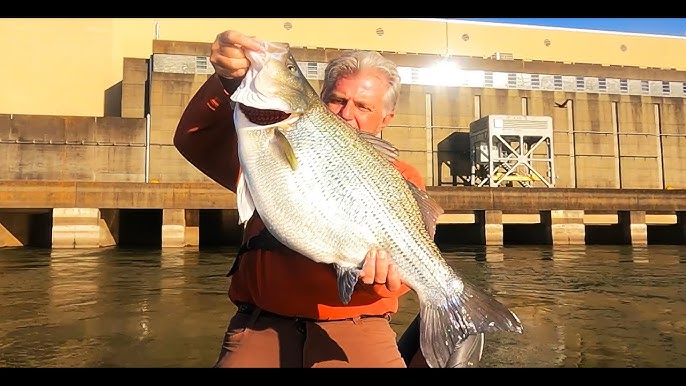 Catching a world record fish (IGFA FLY FISHING RECORD) 