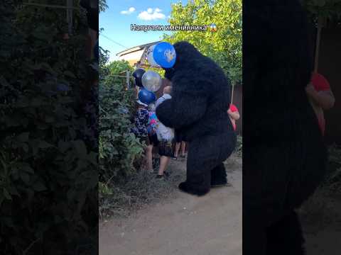 Мужчину поздравила гигантская гарилла 🦍 все в шоке 😳 #кингконгволжский #кингконгволгоград
