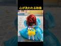 心が洗われる映像 #海外 #感動#ほっこり#ディズニー