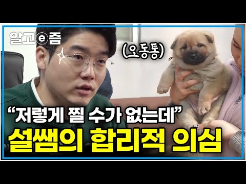 “무슨 3개월 된 강아지 몸을 가지고 있어요;;” 보호자가 주는 밥만 먹었는데, 이상하리만큼 푸짐한 견생 <strong>5주</strong> 차 새끼?! │세상에 나쁜 개는 없다│알고e즘