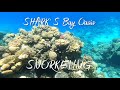 SNORKELING/ SHARK'S BAY OASIS/ Коралловый риф #snorkeling #sharmelsheikh #sharksbayoasis #egypt