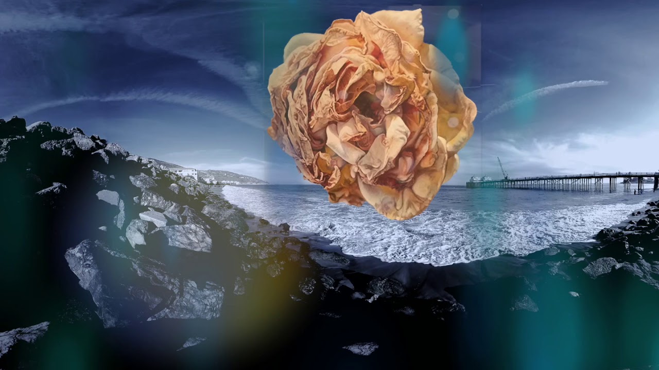 Sub Rosa VR  -  Robert Buratti