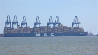 MSC Ilaria Part 1   working cargo alongside Felixstowe Berth 9 on her maiden voyage