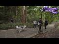 ATEC Challenge Replay: CUHK LRL02 Team Long-Distance Autonomy Challenge | ATEC任务实录：挑战赛队定向越野全纪录