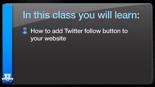 How to Add the Twitter Follow Button Wealth