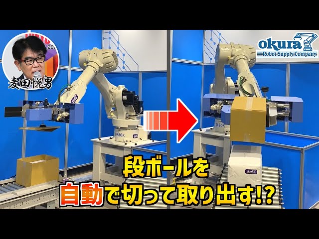 デッカLXT5663 オダスロボツカヤの芸術 ターボブロゴス真珠磨き(アフリカヤコウガイ)【約9～10cm/1個