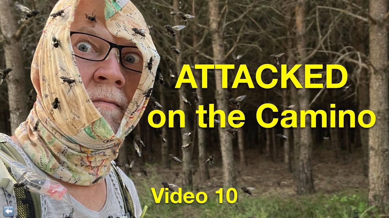 Our Strange Camino – The Darkest Day Ended in Light