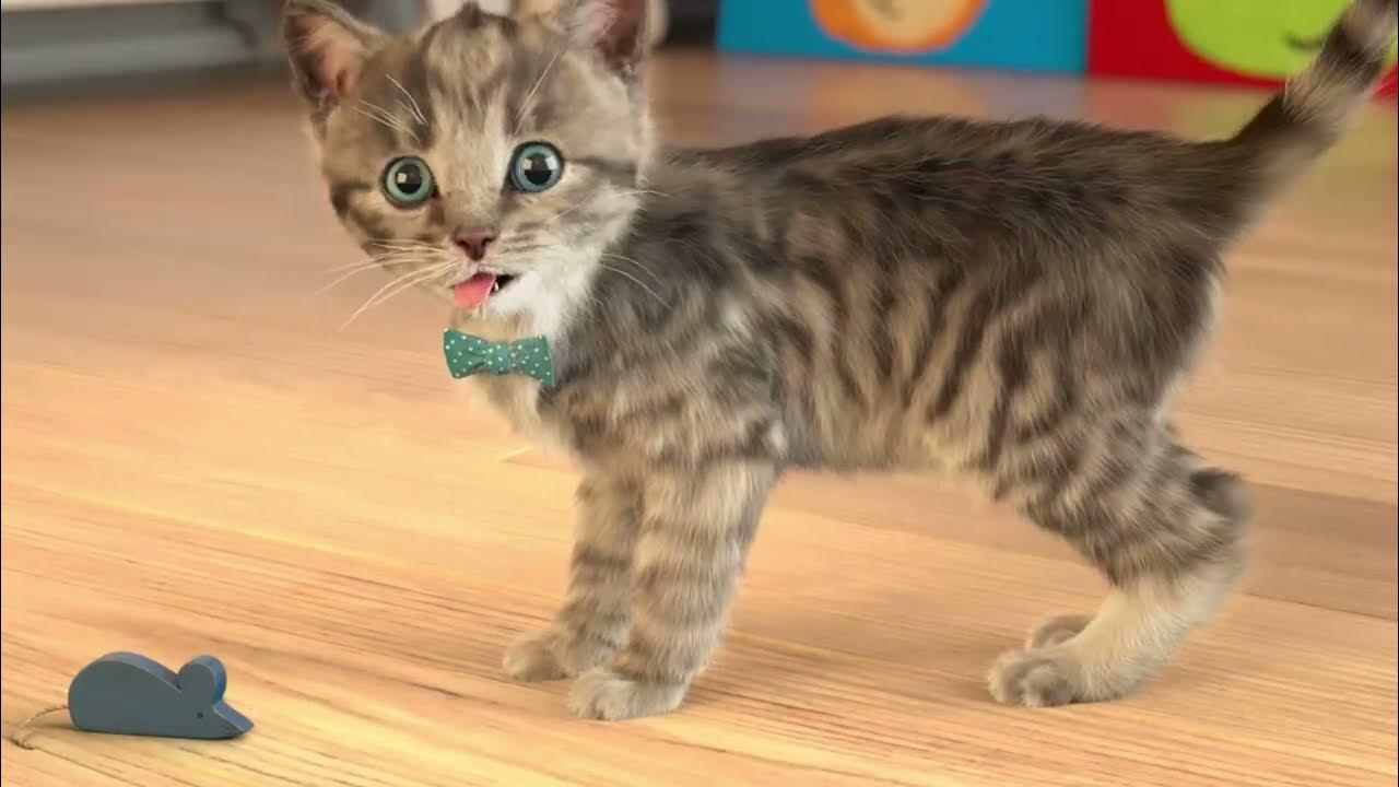 Маленький. Включи котик который играл. Игры про котят. Включи котик который играл. Котик бубу виртуальный питомец.