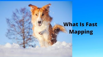 What Is Fast Mapping