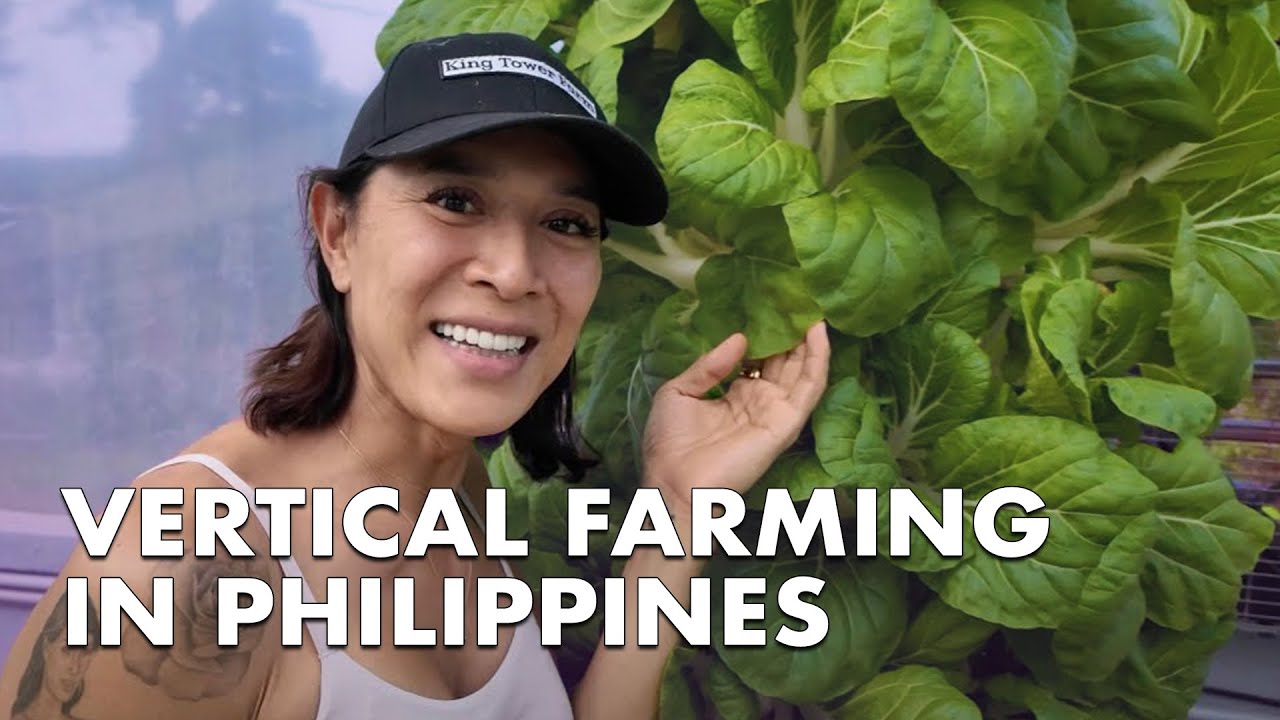 BIGGEST Vertical FARM in PH | King Tower Farm 2024 - YouTube
