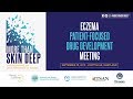 More Than Skin Deep - Eczema Patient-Focused Drug Development Meeting (Full Program)